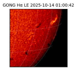 gong - 2025-10-14T01:00:42