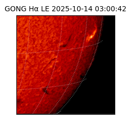 gong - 2025-10-14T03:00:42