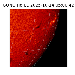gong - 2025-10-14T05:00:42
