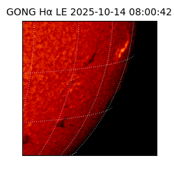 gong - 2025-10-14T08:00:42