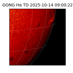 gong - 2025-10-14T09:00:22