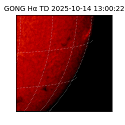 gong - 2025-10-14T13:00:22