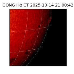 gong - 2025-10-14T21:00:42