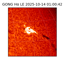 gong - 2025-10-14T01:00:42