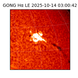 gong - 2025-10-14T03:00:42