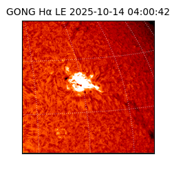 gong - 2025-10-14T04:00:42