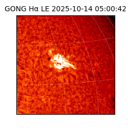 gong - 2025-10-14T05:00:42