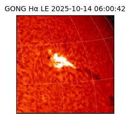 gong - 2025-10-14T06:00:42