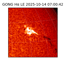 gong - 2025-10-14T07:00:42