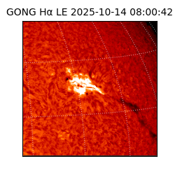 gong - 2025-10-14T08:00:42