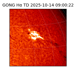 gong - 2025-10-14T09:00:22