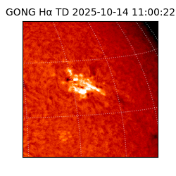 gong - 2025-10-14T11:00:22