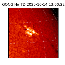 gong - 2025-10-14T13:00:22