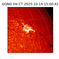 gong - 2025-10-14T15:00:42