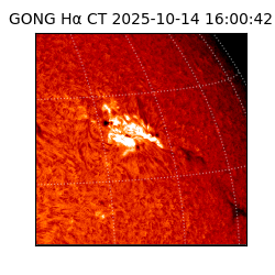 gong - 2025-10-14T16:00:42