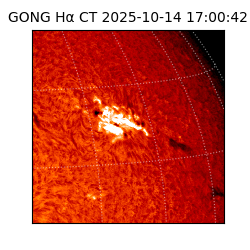 gong - 2025-10-14T17:00:42