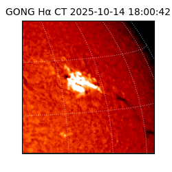 gong - 2025-10-14T18:00:42