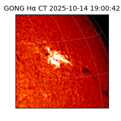 gong - 2025-10-14T19:00:42