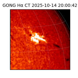 gong - 2025-10-14T20:00:42