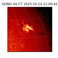 gong - 2025-10-14T21:00:42