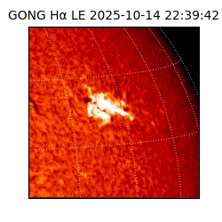 gong - 2025-10-14T22:39:42