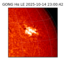gong - 2025-10-14T23:00:42