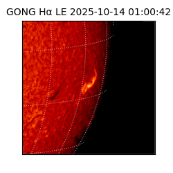 gong - 2025-10-14T01:00:42