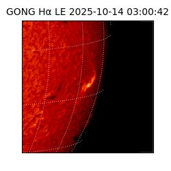 gong - 2025-10-14T03:00:42