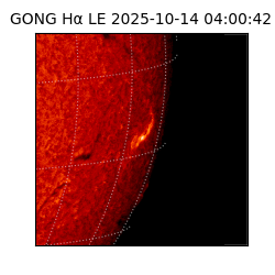 gong - 2025-10-14T04:00:42