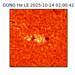 gong - 2025-10-14T02:00:42