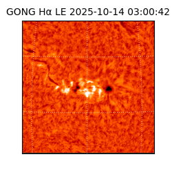 gong - 2025-10-14T03:00:42