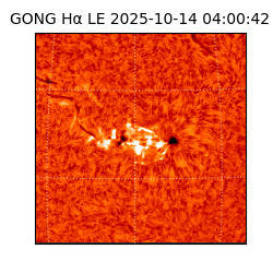 gong - 2025-10-14T04:00:42