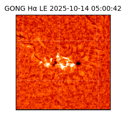 gong - 2025-10-14T05:00:42
