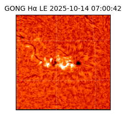 gong - 2025-10-14T07:00:42
