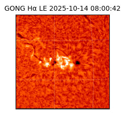 gong - 2025-10-14T08:00:42