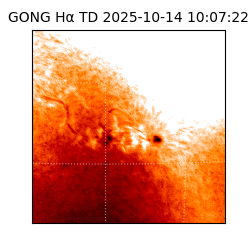 gong - 2025-10-14T10:07:22