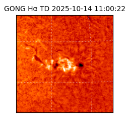 gong - 2025-10-14T11:00:22