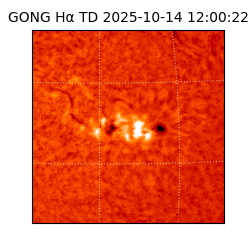 gong - 2025-10-14T12:00:22