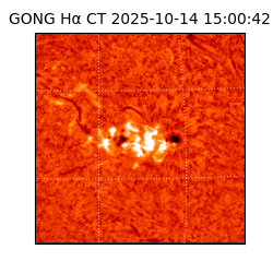 gong - 2025-10-14T15:00:42
