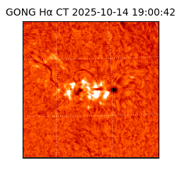 gong - 2025-10-14T19:00:42