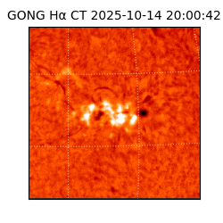 gong - 2025-10-14T20:00:42