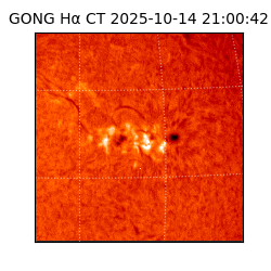 gong - 2025-10-14T21:00:42