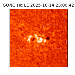 gong - 2025-10-14T23:00:42