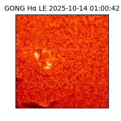 gong - 2025-10-14T01:00:42