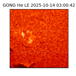 gong - 2025-10-14T03:00:42