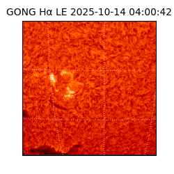 gong - 2025-10-14T04:00:42