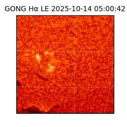 gong - 2025-10-14T05:00:42