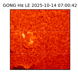 gong - 2025-10-14T07:00:42