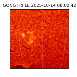 gong - 2025-10-14T08:00:42