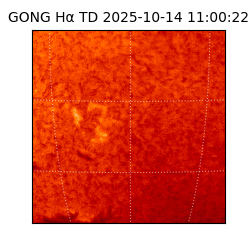 gong - 2025-10-14T11:00:22